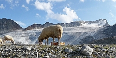 P1050342