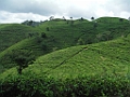 DSCF1142