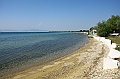 IMG_7457