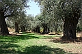 IMG_7499