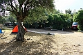 IMG_7547