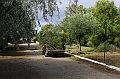 IMG_7549