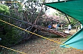 IMG_7550
