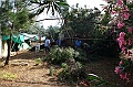 IMG_7552