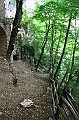 IMG_8379