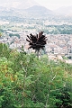napoli0026