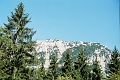 alpy0003