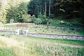 alpy0026