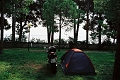 alpy0029