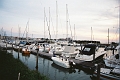 alpy0034