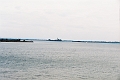 alpy0036