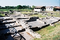 alpy0049