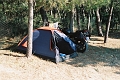 elba0029