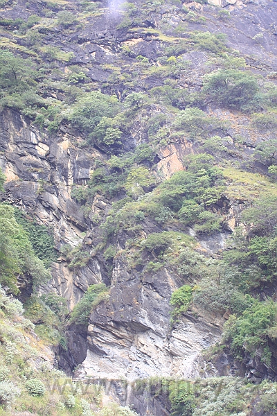 IMG_1665.JPG
