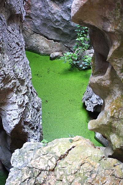 IMG_1773.JPG