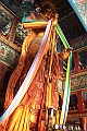 IMG_1116