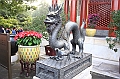 IMG_1120