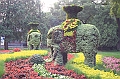 IMG_1129