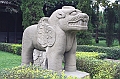 IMG_1381