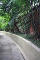 IMG_1383