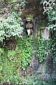 IMG_1393