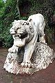 IMG_1394
