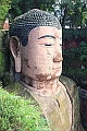 IMG_1409