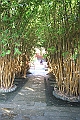 IMG_1424