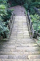 IMG_1426