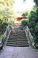 IMG_1427