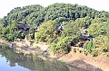 IMG_1435