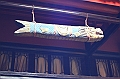 IMG_1448