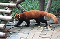 IMG_1450