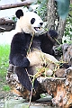 IMG_1459