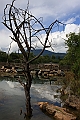 IMG_1534