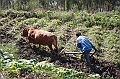 IMG_1579