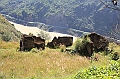 IMG_1591