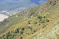 IMG_1594