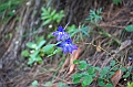 IMG_1625