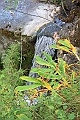 IMG_1629