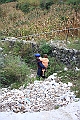 IMG_1658