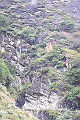IMG_1665