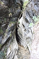 IMG_1666