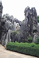 IMG_1703