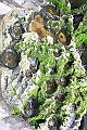IMG_1706