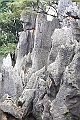 IMG_1708