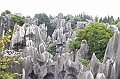 IMG_1710
