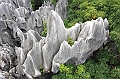IMG_1717