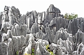 IMG_1719