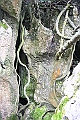 IMG_1722